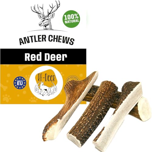 RF - Deer Hundeknochen Hundesnack Rothirsch Geweih Kausnack Größe XL Soft Premium - 1 Stück - Hirschgeweih für Hunde, 100% natürlicher, Gesunder Hundespielzeug, Kauknochen für Genuss und Zahnpflege
