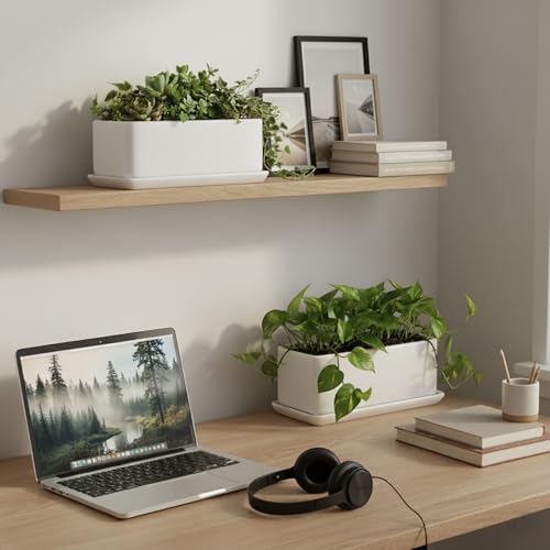 Image of MyGift White Ceramic Succulent Planter with Drainage & Saucer, 2 Pack