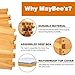 MayBee 8-Frame Beehive Starter Kit, Bee Hive Kit Dipped in 100% Beeswax, Bee Hives Boxes Starter Kit Includes Beekeeping Supplies Tool Kit and Bee Suit
