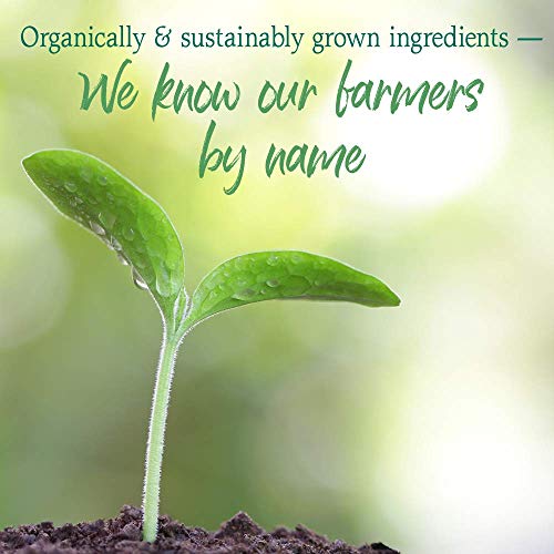 image for Garden of Life Raw Organic Perfect Food Energizer Juiced Green Superfo