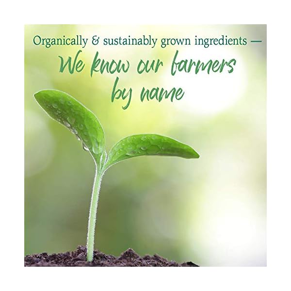 Garden-of-Life-Raw-Organic-Perfect-Food-Energizer-Juiced-Green-Superfood-Powder-Yerba-Mate-Pomegranate-Probiotics-Gluten-Free-Whole-Food-Greens-Supplements-30-Servings-973-Oz Garden of Life Raw Organic Perfect Food Energizer Juiced Green Superfood Powder - Yerba Mate Pomegranate, 30 Servings, Green Superfood Powder & Probiotics, Gluten Free Whole Food Greens Supplements