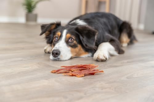 TRIXIE PREMIO Stripes avec canard - sans gluten et sans sucre ajouté - 90 % de viande - Friandise pour chien - 100 g - 31537 – Image 5