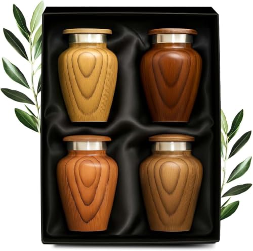 Can you carry deceased ashes on carry on luggage
