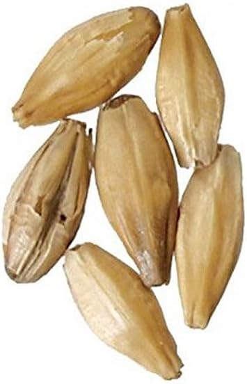 Brewmaster - GR440CM Malt - Peated - 1 lb Milled