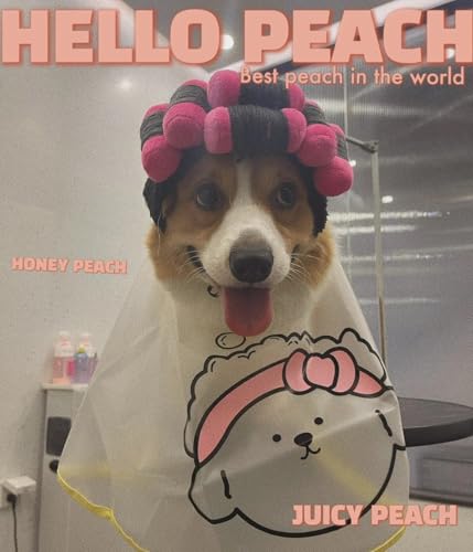 Perucas de cosplay de fantasia de cachorro para dia de spa, cabelo encaracolado, para festas de Hall
