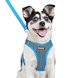 Eagloo Small Dog Harness and Leash Set, Step in Puppy Vest with Breathable Soft Mesh, Walking Reflective Pet Harness for Medium Small Dogs, Blue, L