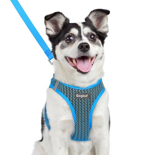 Eagloo Small Dog Harness and Leash Set, Step in Puppy Vest with Breathable Soft Mesh, Walking Reflective Pet Harness for Medium Small Dogs, Blue, L