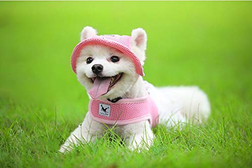 Pet Cap, Round Hat Fashion Dog Canvas Princess Hat Baseball Adjustable Chin Strap Sun Protection Visor For Puppy Dog (L, Pink) #TOP3