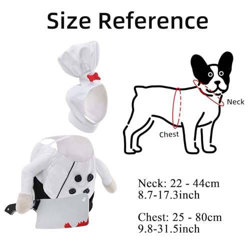 Disfraz de chef para gato en Halloween y fiestas de cumpleaños de mascotas 3