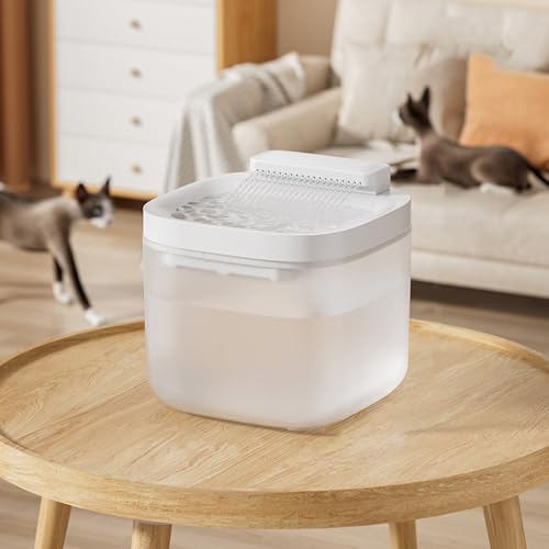 Fontaine pour chats et grands chiens avec système d'eau automatique pour animaux
