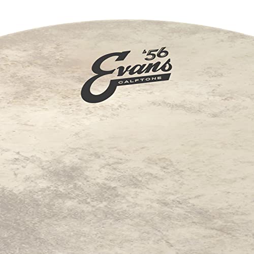 Evans Calftone Bass Drum Head, 26" #TOP1