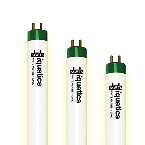 iQuatics Juwel Compatible Aquarium Fluorescent Light Bulb T5 (3 Pack), White 14000k, 54w 1200mm 48”