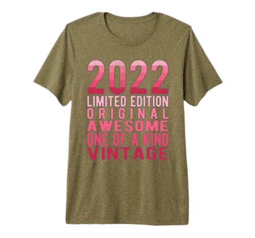 Limited Edition Awesome Original Vintage 2022 Retro Birthday Premium T-Shirt