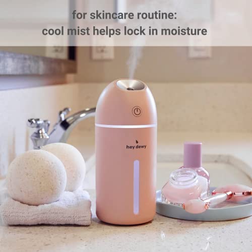 Hey Dewy Wireless, Rechargeable, Self-Care, Skin-Nourishing, Hydrating, Portable Cool Mist Humidifier (Blush) #TOP2