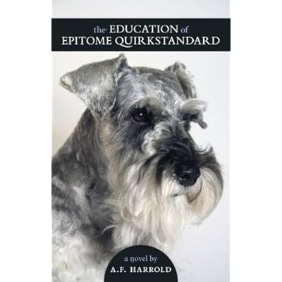 The Education Of Epitome Quirkstandard