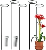 NiNe JerMent 5 Pack Plant Stake Support, Garden Single Stem Support Stake Plant Cage Support Ring...