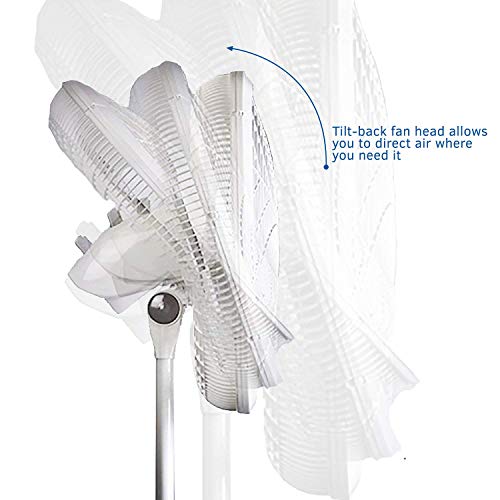 Lasko 2520 Oscillating Stand Fan,White 16 Inch #TOP3