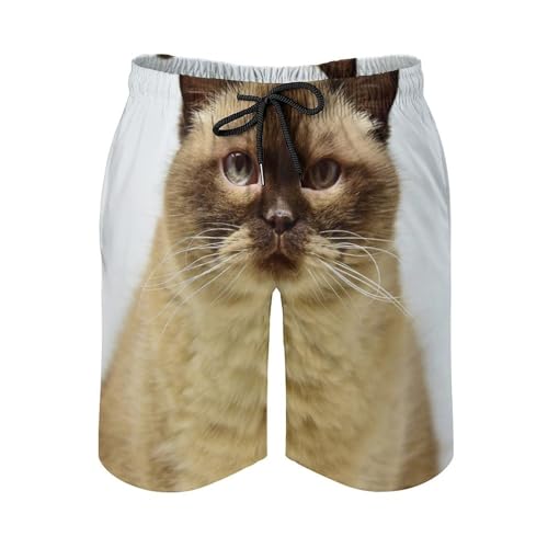 Maillot de bain séchage rapide homme short plage chat