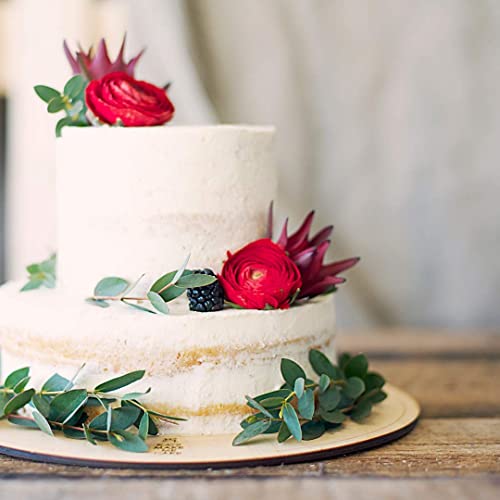 Zenlogy 12 Inch Parchment Paper Rounds (100 Sheets) - Unbleached, Pre-Cut, High Heat, Round Liners - Fits 12 Inch Round Cake Pans, Pizza Pans, And Air Fryer #TOP4