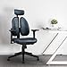 FLEXISPOT Ergonomic Office Chair with Dual Back Support, Home Office Desk Chairs, Swivel Computer Chair, Comfy with Dynamic Double Lumbar Support 4D Arm Rest OC5 (Black)