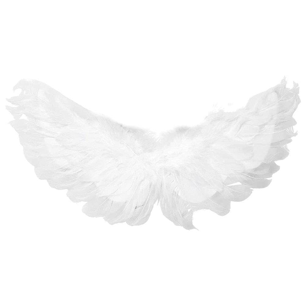 Pet Cat Wings for Halloween Party Decoration,Pet Halloween Costume Wings Puppy Cosplay Devil Angel Feather Wings Photo Props White S