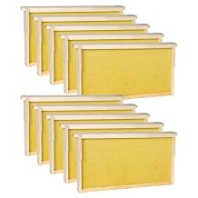 vensovo 10 Pack Bee Frames Deep - Bee Hive Frames and Wax Foundations Yellow Beehive Frams