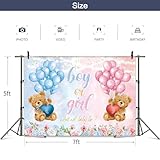 Zoom IMG-2 omifly bear gender reveal sfondo Zoom IMG-2 omifly bear gender reveal sfondo