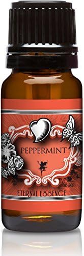 Peppermint Premium Grade Fragrance Oil - 10ml - Scented Oil