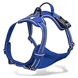 Chai's Choice Best Outdoor Adventure Dog Harness Truelove Model 3M Reflective Vest with Handle and Two Leash Attachments.Caution Please Use Sizing Chart at Left Before Ordering! (Royal Blue Large)