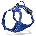 Chai's Choice Best Outdoor Adventure Dog Harness Truelove Model 3M Reflective Vest with Handle and Two Leash Attachments.Caution Please Use Sizing Chart at Left Before Ordering! (Royal Blue Large)