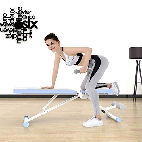 Rindasr strength training equipment，weights，Adjustable Weight Bench-Utility Bench for Full Body Workout; Multi Purpose Decline Fitness Bench Roman Chair; Sit Up All-in-One Hyper Back Extension Exercis