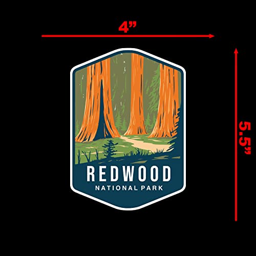Image of Redwood National Park Sticker Decal Notebook Car Laptop 4 inchx5.5 inch (Color)