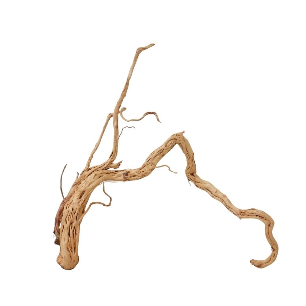 AquaOne Decorazione per acquario, radice di drago, misura XL, in vero legno, n. 2169, decorazione per piante e paesaggio, muschio naturale