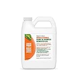 Smart 'n Easy Professional Paint & Varnish Remover - Orange Citrus Scent - Removes Oil, Latex, Acrylic, & Water-Based Paints, Urethanes, Elastomerics, Epoxies, High-Performance Coatings - Quart