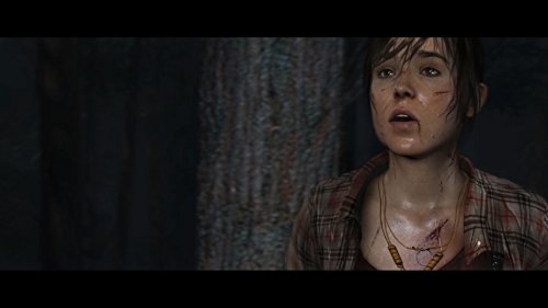 Image of Sony Interactive Entertainment Heavy Rain + Beyond : Two Souls Collection Bundle PlayStation 4
