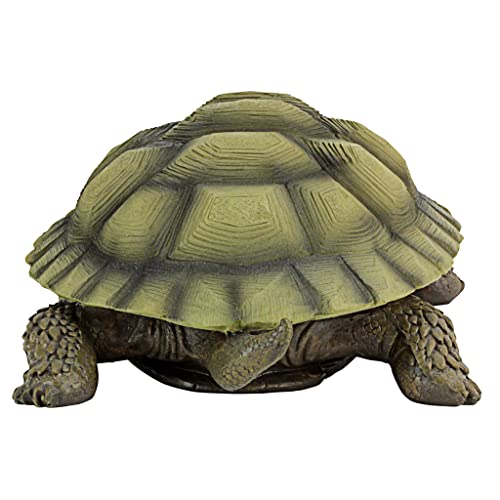 Design Toscano QM91887611 Gilbert The Box Turtle Indoor/Outdoor Garden Decor Animal Statue Set Of Two thumb #7