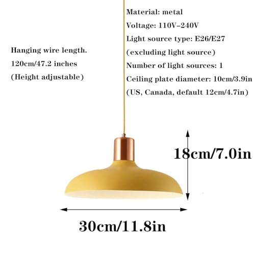 Lustre élégant à une tête rose idéal pour éclairer une table de bar