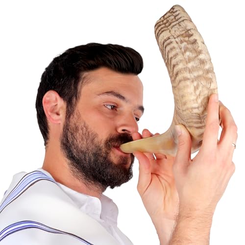 HalleluYAH Authentic Ram Shofar 14
