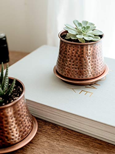 H Potter Succulent Planter Plant Pots Small Flower Cactus Planters 4 Inch Wide 3 Inch High Indoor Container For Planting With Drainage Tray #TOP4