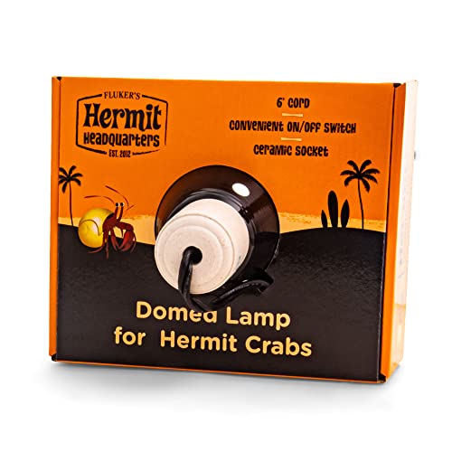 Find The Best Light For Hermit Crabs Reviews & Comparison Katynel