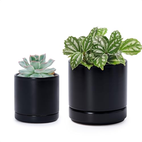 D'vine Dev 2-Pack Ceramic Pots & Saucers, Black, 3.5/4.7 in, 94-G-XS-2