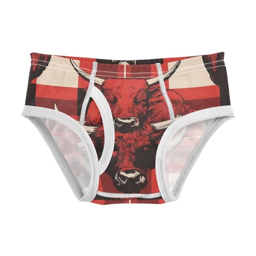 KLL Buffalo Plaid Little Boys Comfort Nighttime Underwear Breathable Children Undies