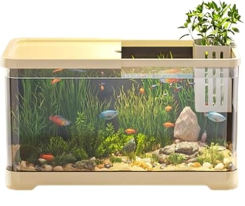 SENKAR 亀飼育用透明アクアリウム水槽 卓上・リビング向け 小型/中型 生態飼育 底面排水&循環ポンプで水換え簡単 静音 フィルター付き インテリア水景 家庭用 (L 55×30×29.4cm, ホワイト) (M(38.8*21.5*21.2cm),イ