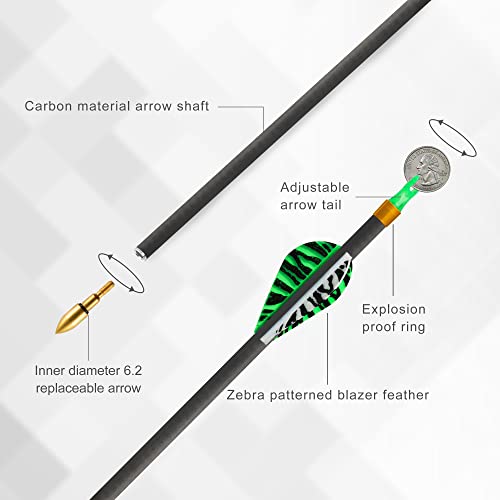 Reawow Compound Bow And Arrow Kit For Adult And Youth Hunting Bow Archery Set With 18 Arrows 20-50 Lbs, Fully Adju #TOP7