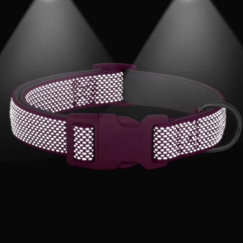 Didog Reflektierendes Hundehalsband mit Schnalle, verstellbar, weiches Neopren, gepolstert, Nylon, Haustierhalsbänder für kleine, mittelgroße und große Hunde, Hot Pink, S
