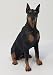 Doberman Pinscher Figurine