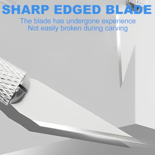 QEXUJOW Lehrmaterialien Insekten Insektennadel, Vintage-Schmucknadel, Edelstahl, Labor für Entomologie, Isolierung und Schmetterlingssammlung (3 Stück)