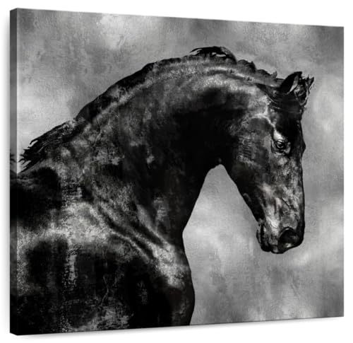 ElephantStock - Black Stallion On Silver Wall Art - Square Canvas Wall Art - Living Room Wall Decor - Painting Horse Canvas Art - Black And Gray Decor by Martin Rose - 24" x 24"