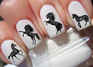 50 Black Horses Nail Art Decal