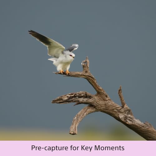 Sony Alpha ILCE-7RM6 Full-Frame 68.8MP Camera - Image 8